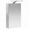Szafka z lustrem do łazienki Betonowy szary 30 x 10,5 x 50 cm