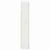 Szafka z lustrem do łazienki z półką Biały 40 x 10,5 x 60,5 cm