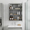 Szafka z lustrem do łazienki Szary Sonoma 40 x 10,5 x 60,5 cm