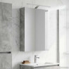 Szafka z lustrem do łazienki Betonowy szary 50 x 14,5 x 70 cm