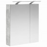 Szafka z lustrem do łazienki Betonowy szary 60 x 14,5 x 70 cm