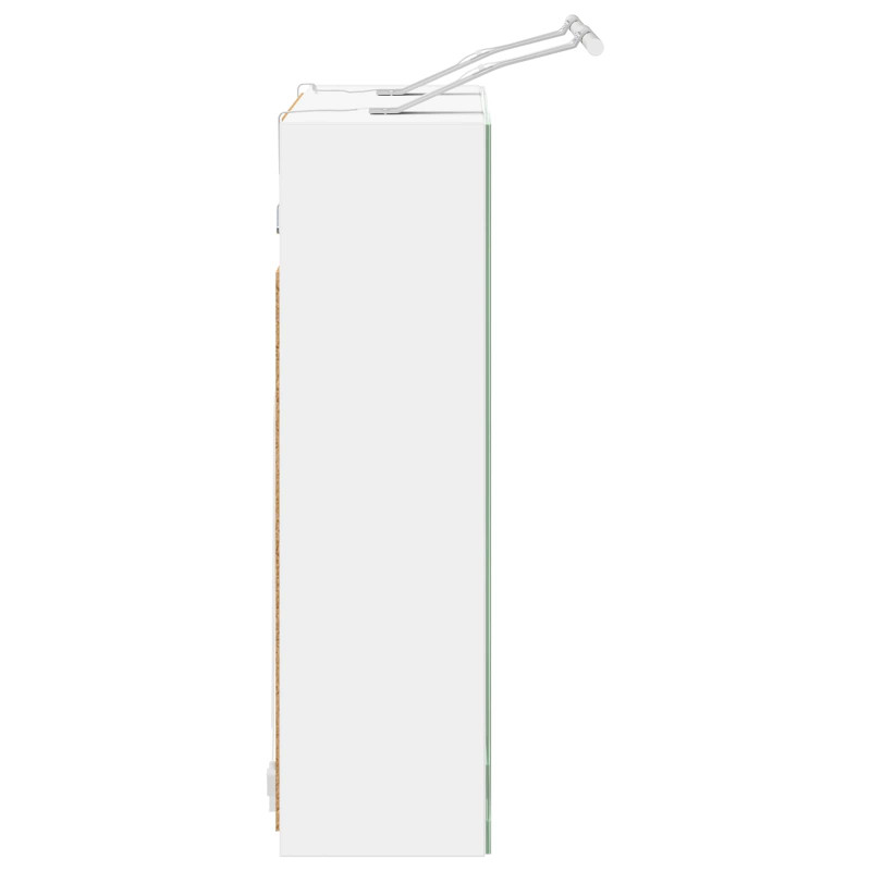 Szafka z lustrem do łazienki Biały 60 x 14,5 x 50 cm