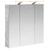 Szafka z lustrem do łazienki Betonowy szary 70 x 14,5 x 70 cm