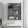Szafka z lustrem do łazienki Szary Sonoma 43 x 16 x 62.5 cm