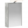 Szafka z lustrem do łazienki Betonowy szary 43 x 16 x 62.5 cm