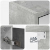 Szafka z lustrem do łazienki Betonowy szary 63,5 x 16 x 62,5 cm