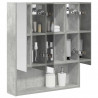 Szafka z lustrem do łazienki Betonowy szary 60 x 14.5 x 70 cm