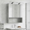 Szafka z lustrem do łazienki Betonowy szary 60 x 14.5 x 70 cm