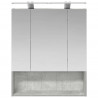 Szafka z lustrem do łazienki Betonowy szary 60 x 14.5 x 70 cm