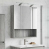 Szafka z lustrem do łazienki Szary Sonoma 60 x 14.5 x 70 cm