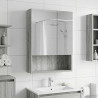Szafka z lustrem do łazienki Szary Sonoma 50 x 14,5 x 70 cm