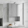 Szafka z lustrem do łazienki Betonowy szary 50 x 14,5 x 70 cm