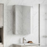 Szafka z lustrem do łazienki Betonowy szary 43 x 11,5 x 60,5 cm