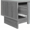 Szafka pod telewizor z szufladą Szary Sonoma 147 x 34,5 x 30 cm
