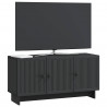 Szafka pod telewizor Czarny 99 x 34,5 x 50 cm