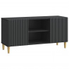 Szafka pod telewizor Czarny 102 x 34,5 x 50 cm