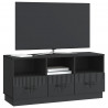 Szafka pod telewizor z szufladą Czarny 102 x 34,5 x 47 cm
