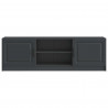 Szafka pod telewizor Czarny 150 x 31 x 47 cm