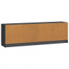 Szafka pod telewizor Czarny 150 x 31 x 47 cm