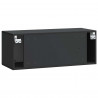 Szafka RTV montowana na ścianie Czarny 78,5 x 31 x 30 cm