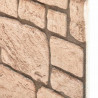 Panele ścienne 10 pcs Beżowy 100 x 50 cm Pianka EPS