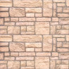 Panele ścienne 10 pcs Beżowy 100 x 50 cm Pianka EPS