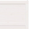 Drzwi do stodoły Biały 100 x 2,5 x 208 cm Lite drewno sosnowe