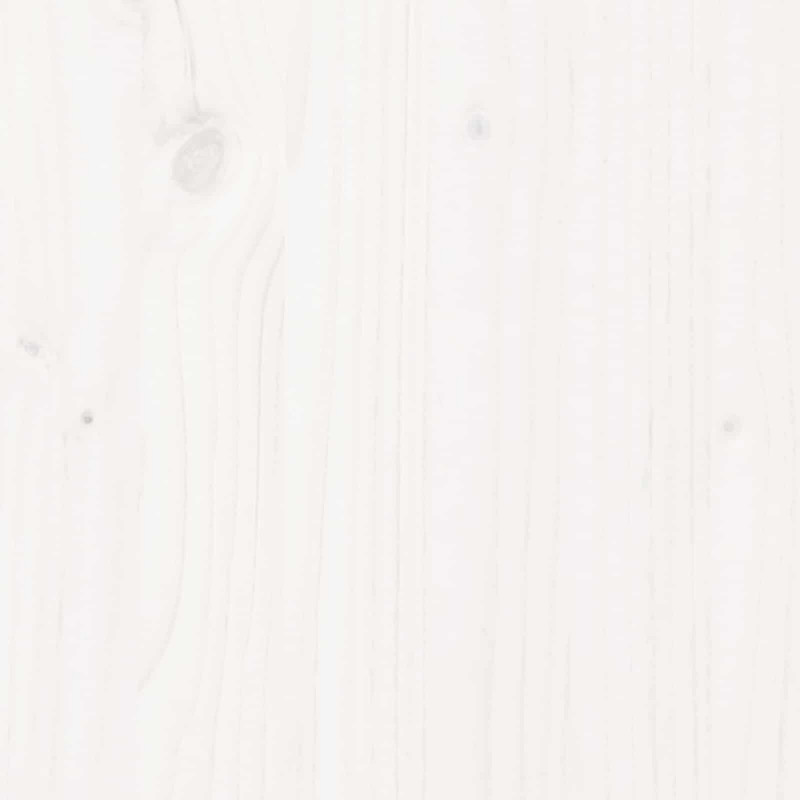 Drzwi do stodoły Biały 100 x 208 cm Lite drewno sosnowe