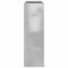 Stojak na rośliny 2 pcs Srebrny 24 x 24 x 75 cm stal nierdzewna