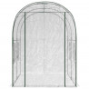 Szklarnia z ramą 160 x 200 x 192,5 cm PVC przezroczysty