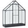 Szklarnia Ogrodowa z drzwiami antracytowy 183,5 x 63,5 x 207 cm