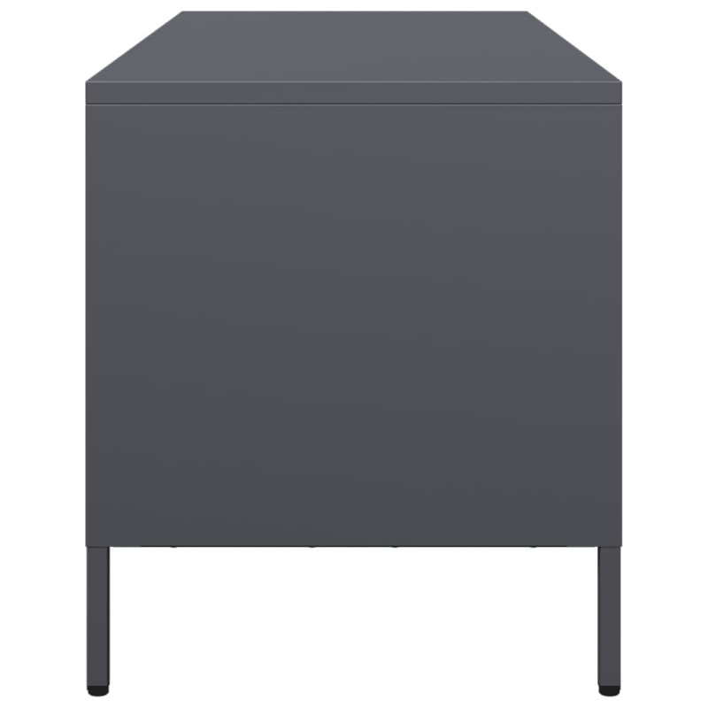 Szafka RTV, antracyt, 101,5x39x43,5 cm, stal walcowana na zimno