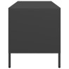 Szafka RTV, czarna, 101,5x39x43,5 cm, stal walcowana na zimno