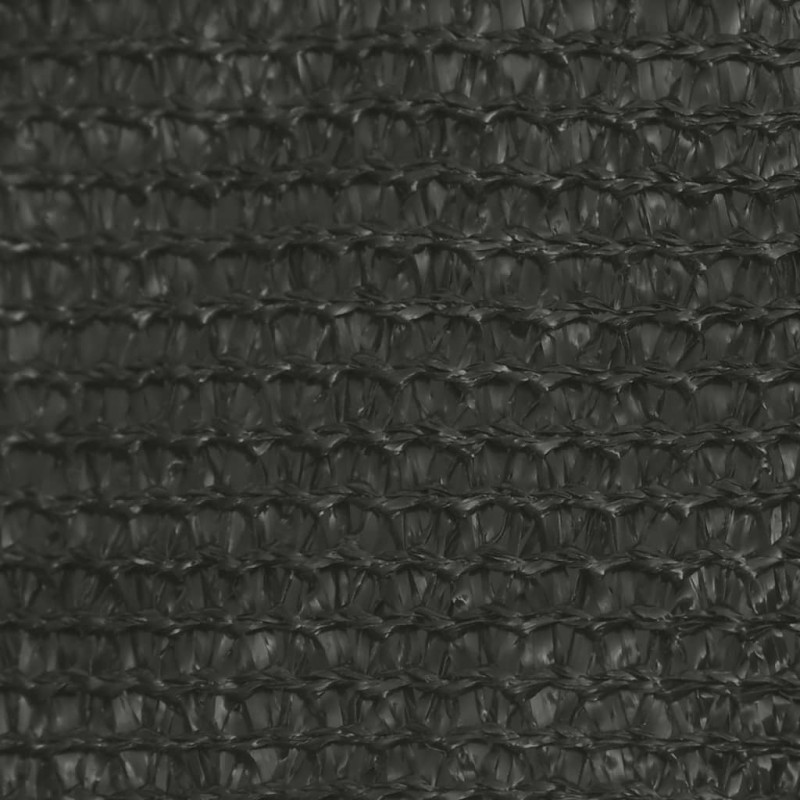Żagiel przeciwsloneczny, 160 g/m², antracytowy, 2,5x4 m, HDPE