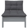 2-osobowa sofa ogrodowa z poduszkami, szara, drewno sosnowe