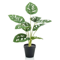 Emerald Sztuczna monstera Adansona w doniczce, 43 cm