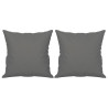 2-osobowa sofa z poduszkami, ciemnoszara, 140 cm, mikrofibra