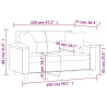 2-osobowa sofa z poduszkami, ciemnoszara, 120 cm, mikrofibra