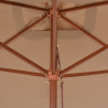 Parasol ogrodowy na drewnianym słupku, 200x300 cm, taupe