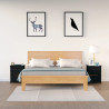 Szafki nocne, 2 szt., czarne, 50x35x61,5 cm, drewno sosnowe