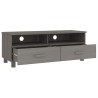 Szafka pod TV HAMAR, jasnoszara, 106x40x40 cm, drewno sosnowe