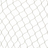 Nature Siatka przeciw ptakom Primo 10x10 m czarna 6030407