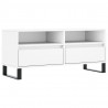 Szafka pod TV, biała, 100x34,5x44,5 cm, materiał drewnopochodny