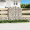 Łukowaty kosz gabionowy 200x50x200/220 cm, galwanizowane żelazo