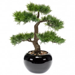 Emerald Sztuczny cedr bonsai, zielony, 34 cm, 420003