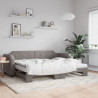 Sofa rozsuwana z materacami, kolor taupe, 100x200 cm, tkanina