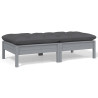 2-osobowa sofa ogrodowa z poduszkami, szara, drewno sosnowe