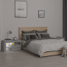 Szafki nocne z LED, 2 szt., szary dąb sonoma, 70x36,5x40 cm