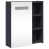 Szafka łazienkowa z lustrem i LED, szara, 45x13x52 cm