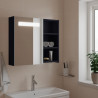 Szafka łazienkowa z lustrem i LED, szara, 60x13x52 cm